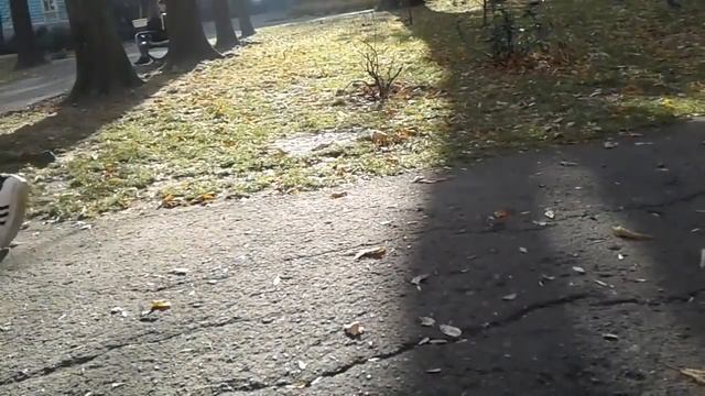 Любимые. Анна Заруба