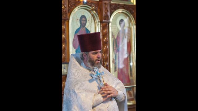 "Димитриевская родительская суббота" протоиерей Михаил Швалагин смотреть онлайн