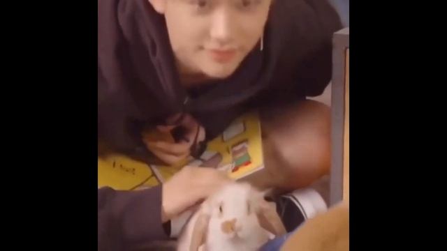 Австралийское счастье - Ли Феликс | Lee Felix | Stray Kids guide ( nope ) | Stray Kids moments смотреть онлайн