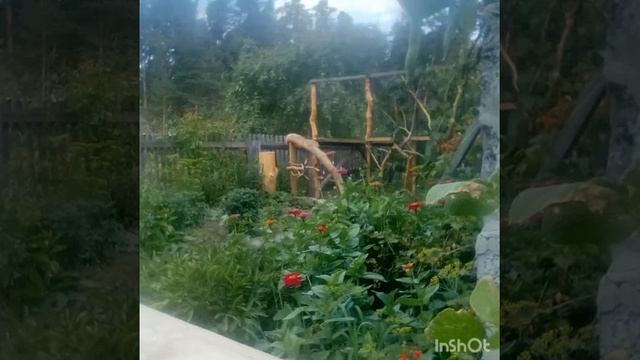 Рыжая бестия и дворик хоббитов смотреть онлайн