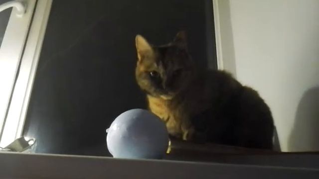 Тайна нашего дома. Призрак попал на камеру!?