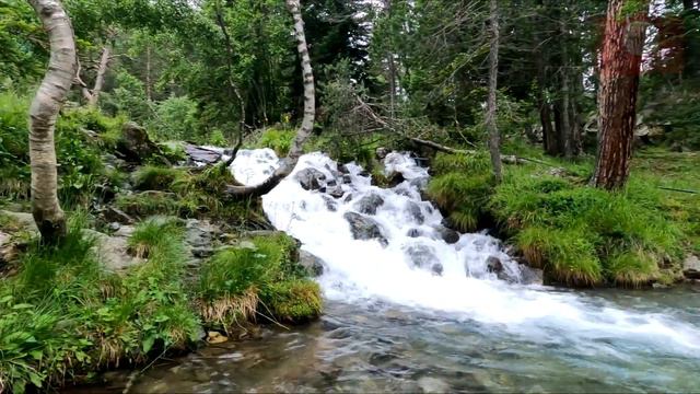 АРХЫЗ 2022 г. Водопады. Горы Озера. смотреть онлайн