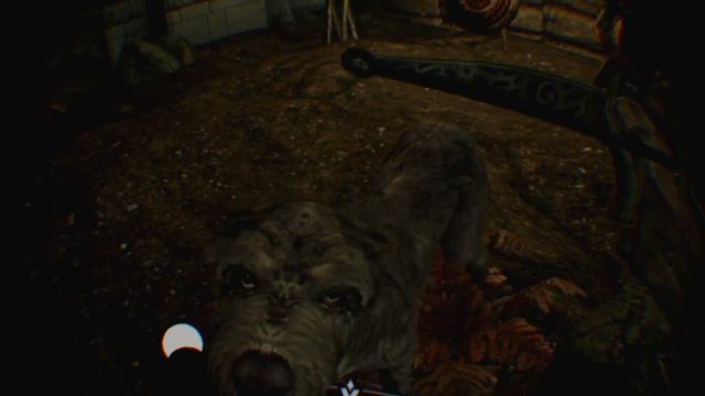 Stop it, Barbas! - SkyrimVR