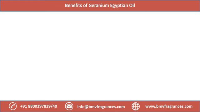 Benefits of Non-Toxic, Non-Irritant & Non-Sensitizing Geranium Egyptian Oil смотреть онлайн