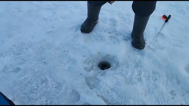 2 января 2022 г. смотреть онлайн