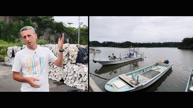 Зачем японским рыбакам это?! смотреть онлайн