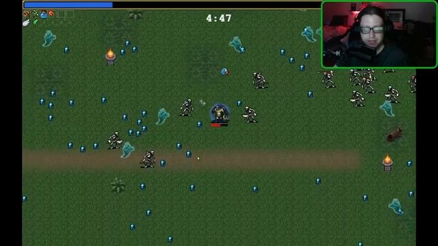 SLAYING VAMPIRES -vampire survivors Stream смотреть онлайн