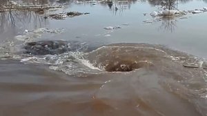 Водоворот в Латвии на реке Даугава смотрим до конца / Amazing monstrous whirlpoo