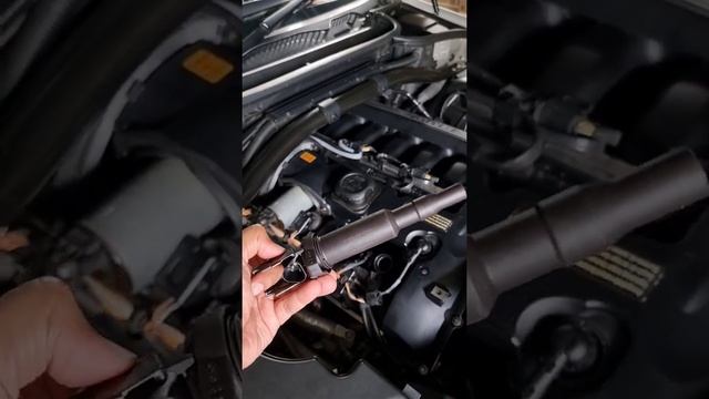 Ignition Coil And Sparkplug BMW X3 E83 N52b25