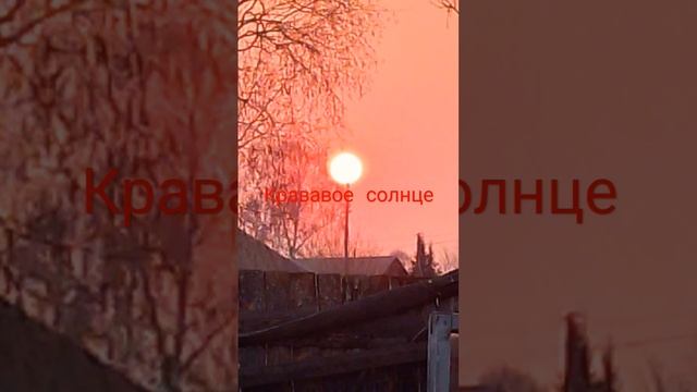 красное солнце смотреть онлайн