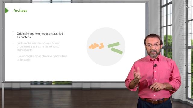 Introduction to Microbiology: Microbes & Bacteria – Microbiology| Lecturio смотреть онлайн