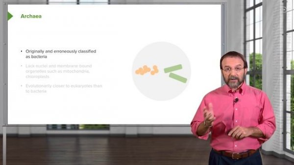 Introduction to Microbiology: Microbes & Bacteria – Microbiology| Lecturio