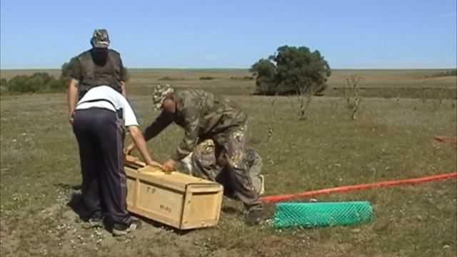 Сурки 2015 смотреть онлайн