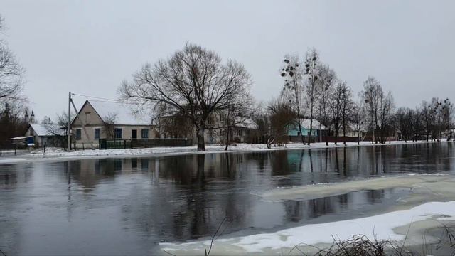 Слоним 10 февраля 2024 г. смотреть онлайн