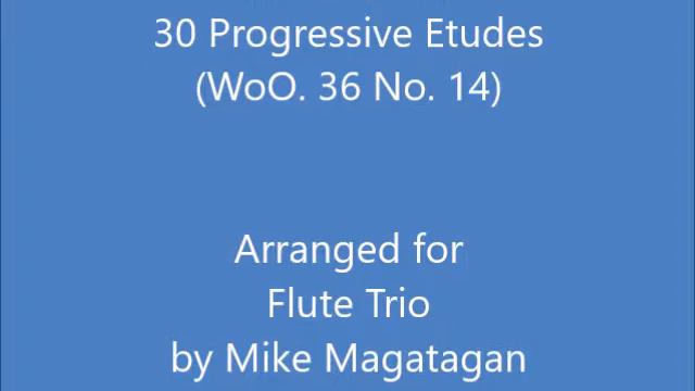 Presto from 30 Progressive Etudes (WoO. 36 No. 14) for Flute Trio смотреть онлайн