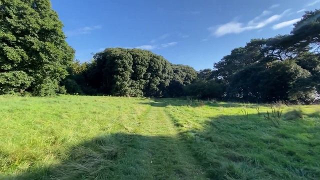 ЗАЖИВАЕТ КАК НА СОБАКЕ✔️ КАК ПОЛУЧИТЬ ИРЛАНДСКОЕ ГРАЖДАНСТВО✔️☘️?? смотреть онлайн