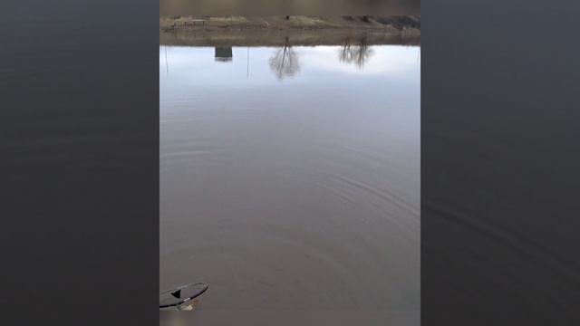 Завтра на канале открытие фидерного сезона смотреть онлайн