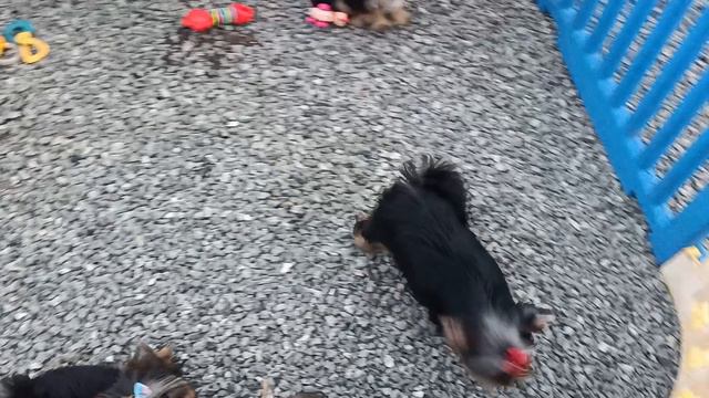 1000127415.mp4 смотреть онлайн