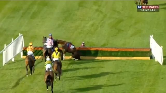 Horse racing thrills and spills - Horse says no! смотреть онлайн