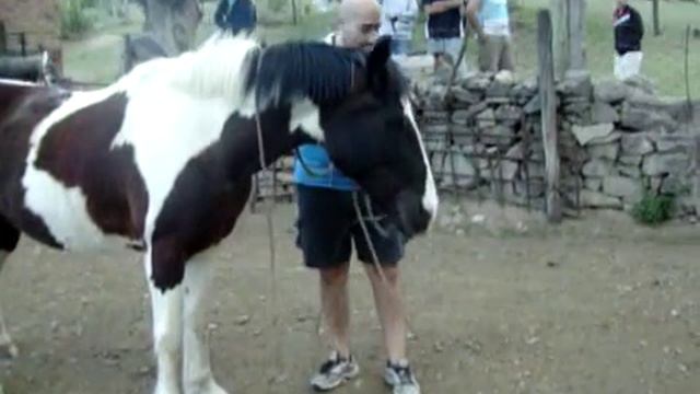 PASEANDO POR EL TOTO 7 смотреть онлайн