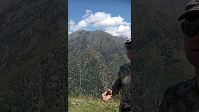 Охота на тура в Дагестане . смотреть онлайн