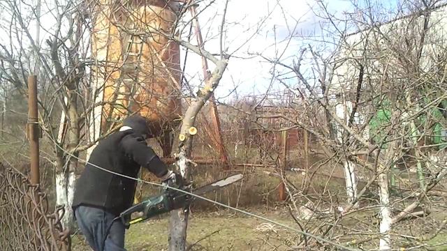 Обрезка деревьев ; 2016 03 19 смотреть онлайн