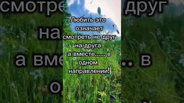 О любви! смотреть онлайн