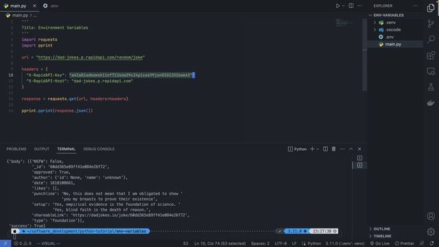Environment Variables In Python смотреть онлайн