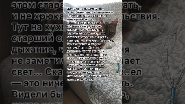 Жена села на диету 🤣 #анекдоты #анекдоткороткий #анекдототкожаного смотреть онлайн