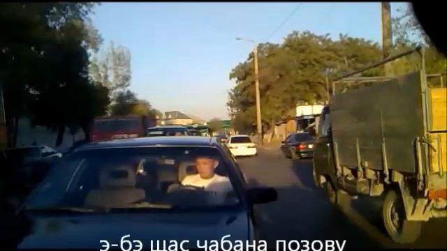 Олени на дорогах смотреть онлайн
