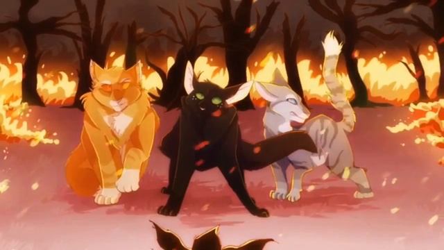 Коты воители клип | Se tu voi | Cats Warriors смотреть онлайн