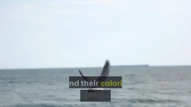 Understanding your metabolism. The key for fat burning, weight loss and healthy living смотреть онлайн