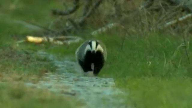 Ежедневник НикА за 18 апреля смотреть онлайн