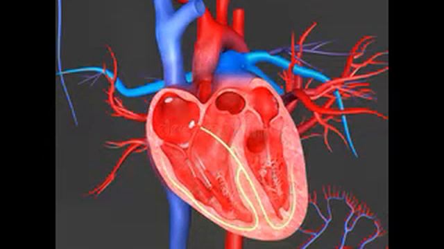 Мясников назвал учащенный пульс симптомом опасного заболевания смотреть онлайн