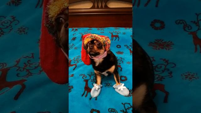 Что можно надеть на новый год. Советы от Юджина. смотреть онлайн