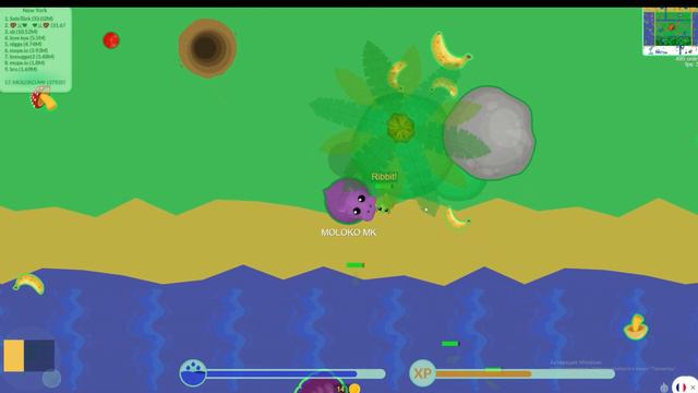 MOPE.IO НО МНЕ НЕЛЬЗЯ ПИТЬ ВОДУ ЧЕЛЛЕНДЖ!!