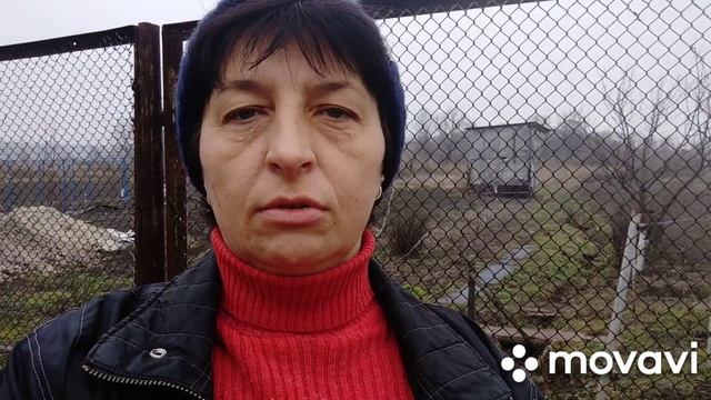 Нужны ли кроликам клички смотреть онлайн