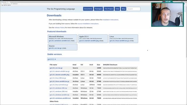 Technomancers Live! HTML/CSS Basics and GoLang смотреть онлайн