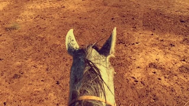 Mоя маленькая Элиста - Ринчин Дашицыренов (Aquarius Records) смотреть онлайн