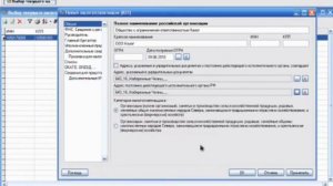 Работа в программе Налогоплательщик ЮЛ