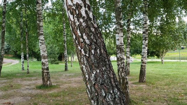 Лена и Ваня LIFE \ Её нельзя не обсуждать!!! \ Обзор влогов