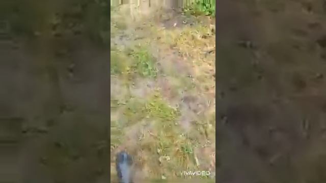 Скважина изобильненский район Станица Новотроицкая смотреть онлайн