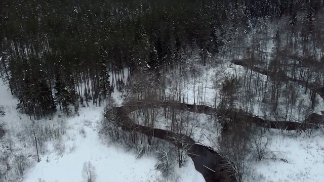 Аэросъёмка: Ленинградская область, река Канома смотреть онлайн