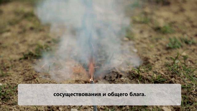 Продвижение мира на Земле - The Pope Video 1 - январь 2020 смотреть онлайн