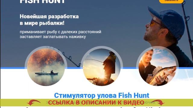 Какую прикормку купить