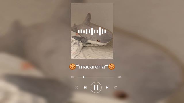 🍪~makarena~🍪