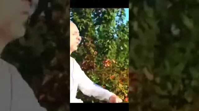 Это кавказ смотреть онлайн