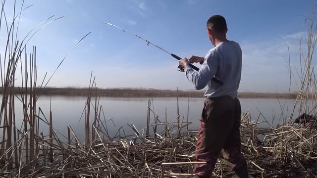 РЫБАЛКА В АСТРАХАНИ |2023| ПЕРВЫЙ САЗАН смотреть онлайн