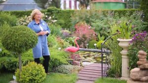 Японский пруд на участке. Идеи для дизайна сада. Мини пруд своими руками.