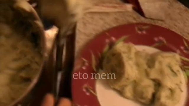 Учимся хамить как Даша Васнецова | Новогодний выпуск | 8 часть | eto mem смотреть онлайн